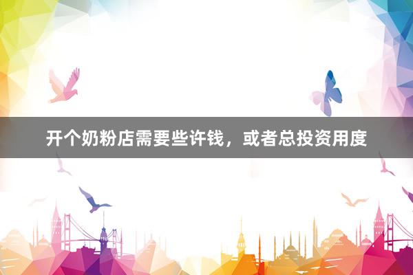 开个奶粉店需要些许钱，或者总投资用度